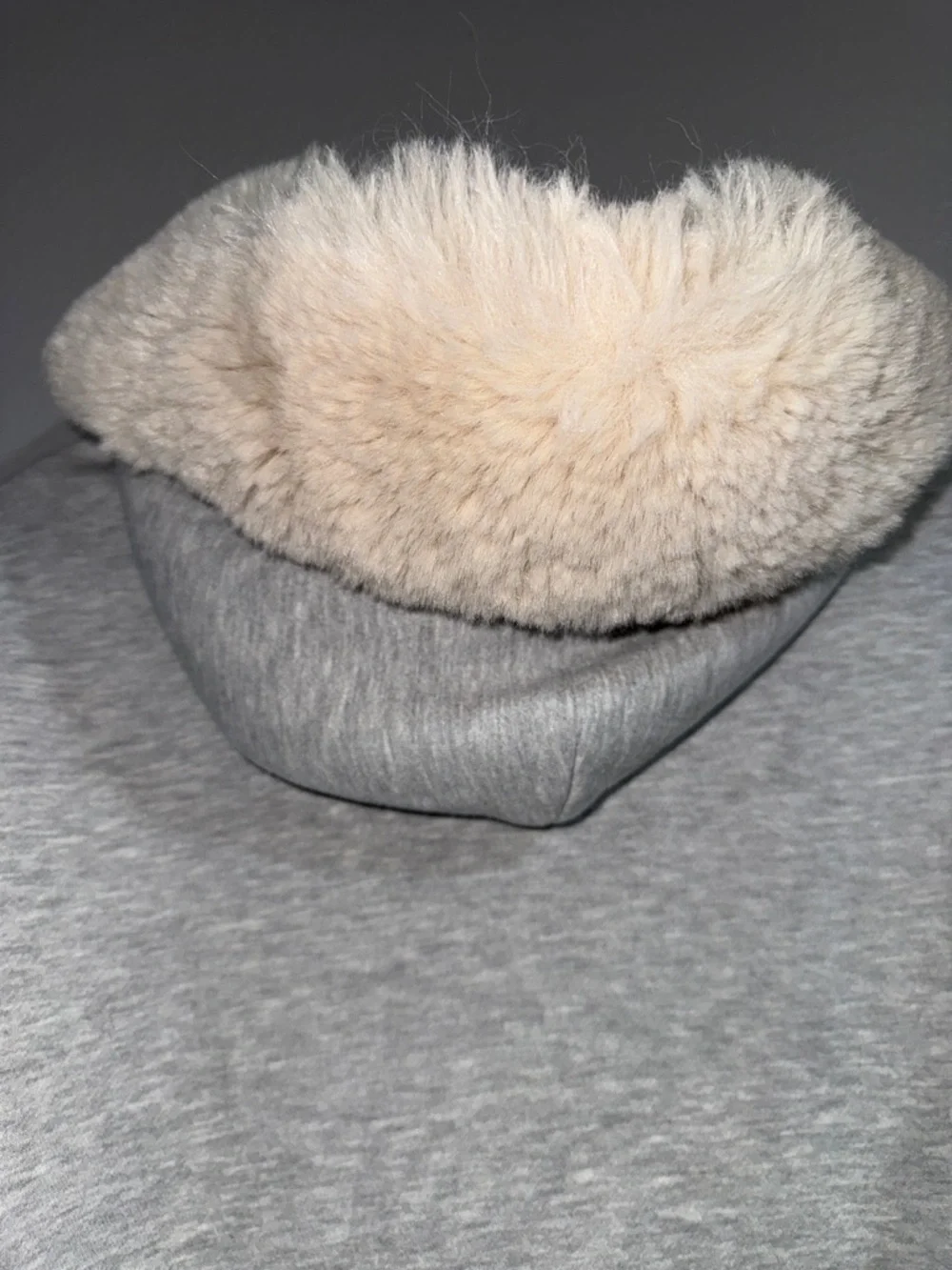 wild fable Light Gray Hoodie with Cream Faux Fur Trim - Picture 6 of 10